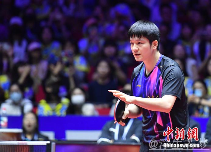 樊振东双胜助力 上海地产集团击败黄石基地·华新